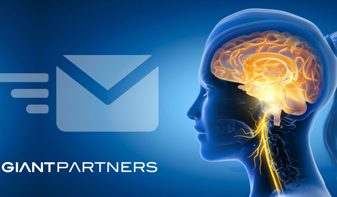 Email Marketing: Direct Link to the Customer Mind